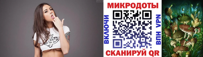 Галлюциногенные грибы Psilocybe  Щигры 