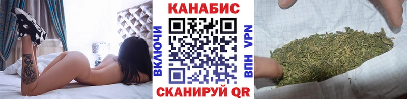 Бошки Шишки планчик Щигры